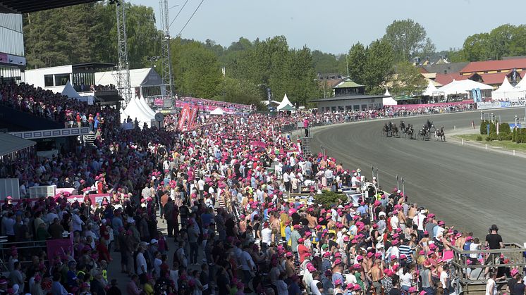 Publik på Solvalla. Foto: Lars Jakobsson/TR Bild