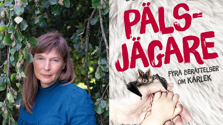 Ny bok av språk- och stämningsmästaren Boel Gerell. Fyra  berättelser om jakten på lycka. 