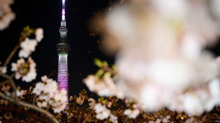 TOKYO SKYTREE’s spring lighting