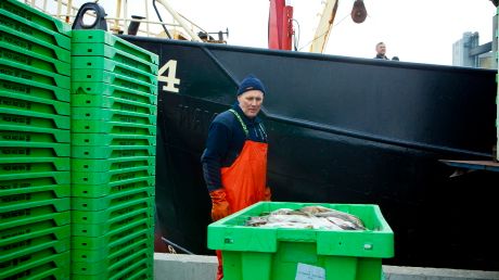 Ministermöte om 2013 års fiskekvoter 