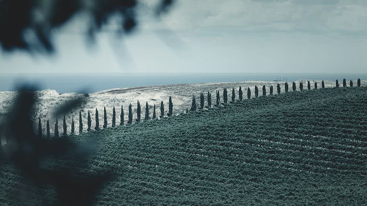 McLarenVale Sea View.jpg