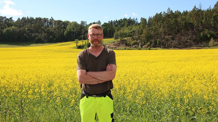 Bjørn Gimming i rapsåkeren