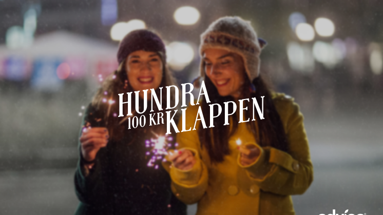 Advisa Hundraklappen rapport 2013