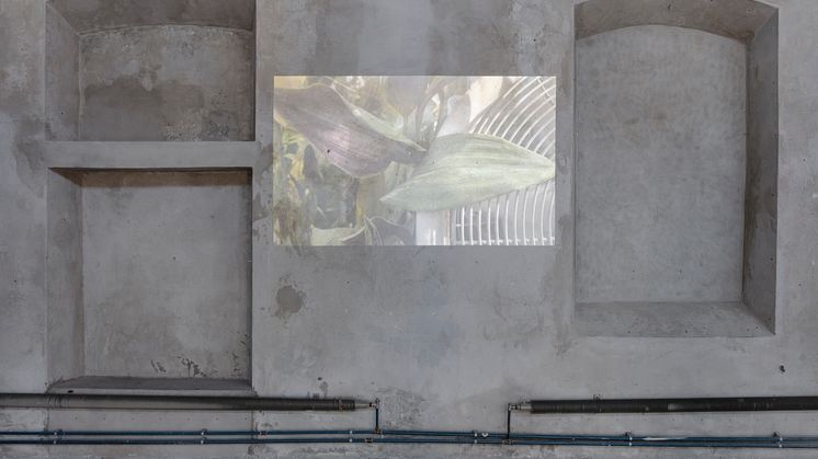 Installationsbild: Laleh Kazemi Veisari – Okänt Land, 2022, Färgfabriken