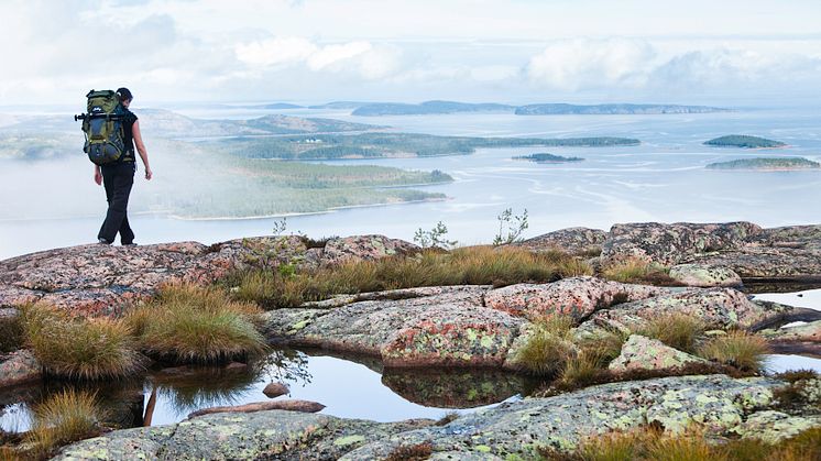 Höga Kusten levererar återigen på topp