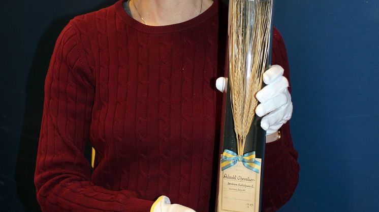 jenny-hagenblad-2.JPG
