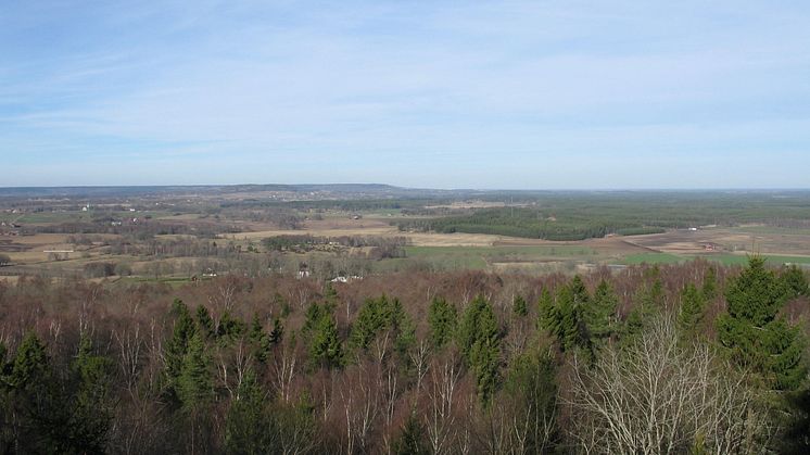 Utsikten från Höge klint i Lena borgs naturreservat. Foto: Länsstyrelsen i Västra Götaland