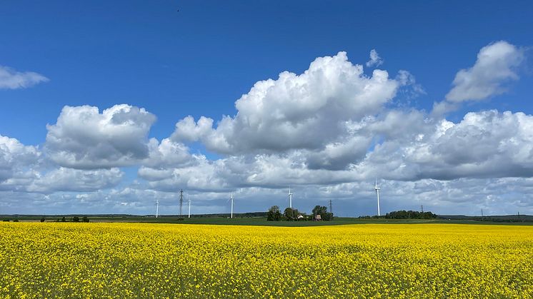 C4 Energis nya vision gör avtryck i hållbarhetsrapporten för 2021