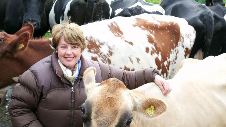 Arla farmers call on shoppers to make a positive difference to the UK dairy industry