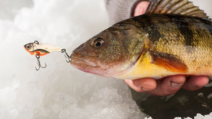 High res image - Raymarine - Ice Fishing Kit Lifestyle