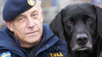 Jeff blev Årets narkotikasökhund