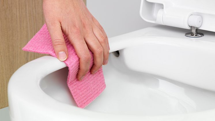 Hyginic Flush