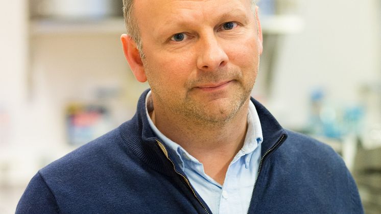 Stig Hiller