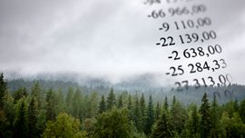 Extra nyhetsbrev Skog - stormfälld skog 