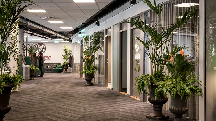 LeoVegas Stockholm office