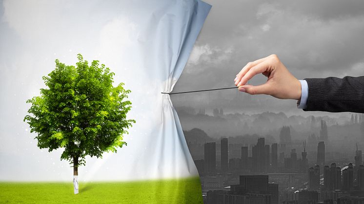 Why companies must urgently greenwash-proof their Sustainability Reports