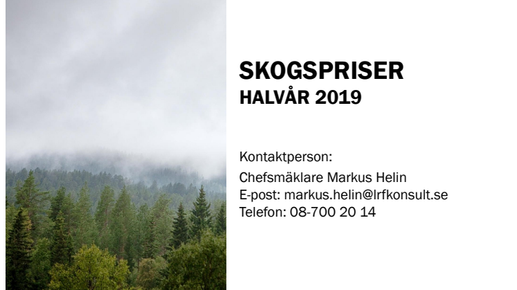 Skogsmarkspriser - halvår 2019