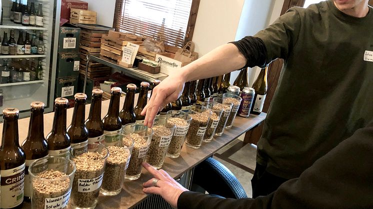 Johan Zethraeus från Brewmaster i Hovmantorp testar malt med de skånska bryggarna.