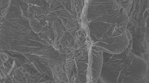 SEM photograph of the fracture surface of a tensile test specimen