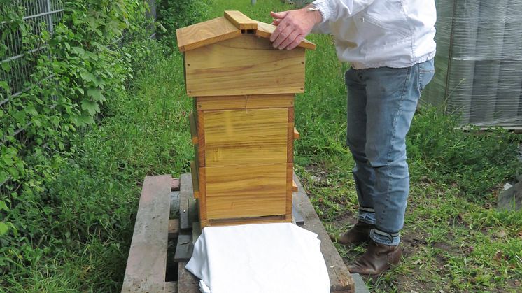 DOYMA Bienenhaus Dotzauer