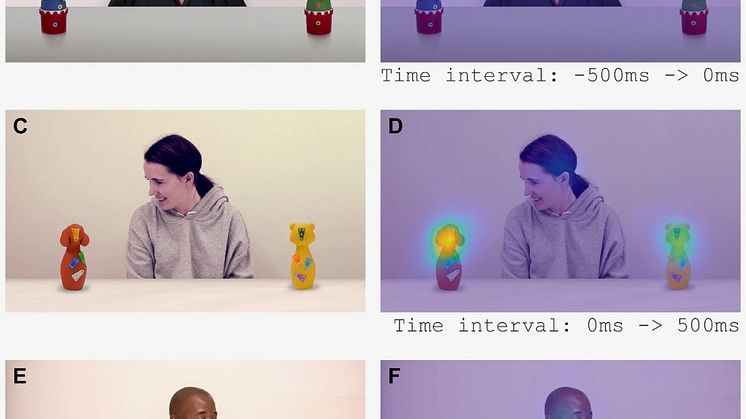 Babylabtest eye tracking 