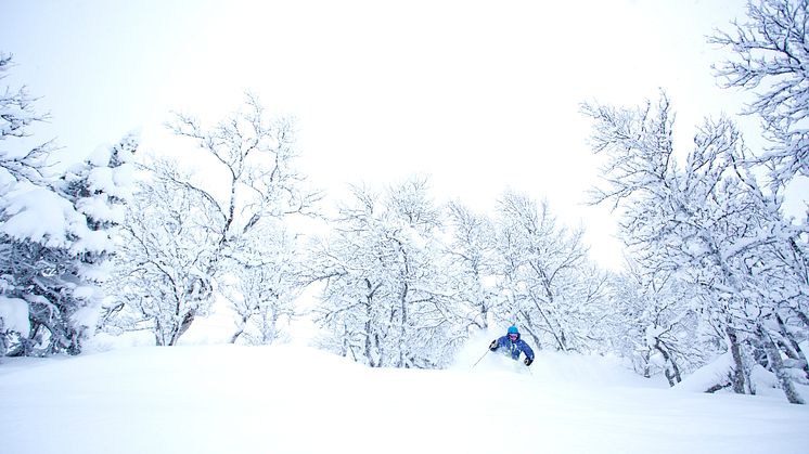 Pudder i Hemsedal 17 januar 2014
