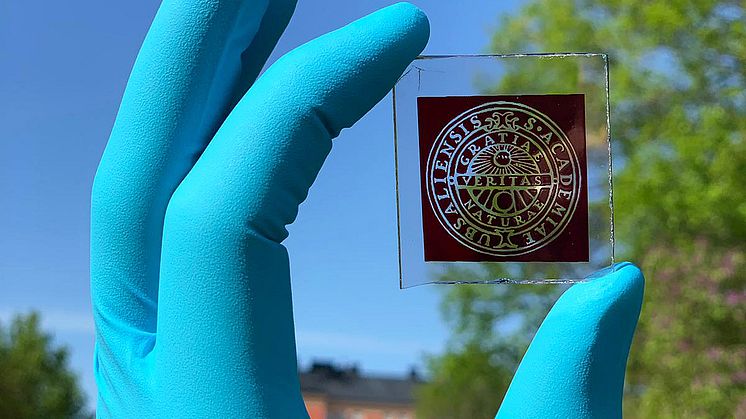 The dye combination for the new solar cells was designed specifically to absorb light at visible wavelengths. Credit: Marina Freitag. 