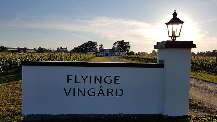 Flyinge vingård strax utanför Lund är ett av besöksmålen när Grand Hotel arrangerar vinresor i Skåne.