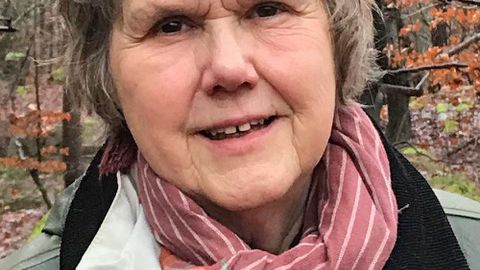 Ann Beskow, porträtt