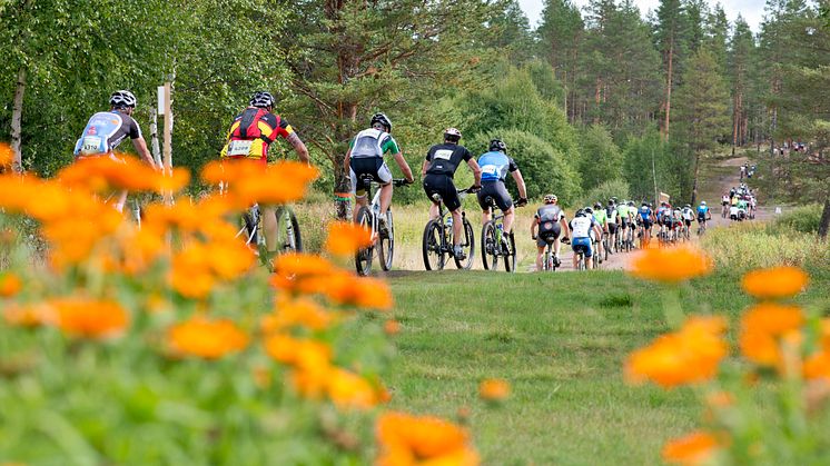 Vasaloppets sommarvecka 2014 - större än någonsin
