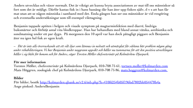 Så mår sälkutarna Anders och Benjamin idag
