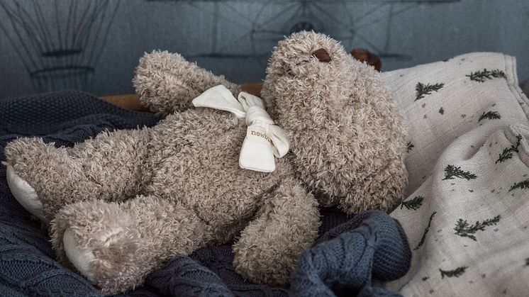 BonVoyage-1_Image_Roomshot_ChildrensRoom_Item_7456_0006_PR