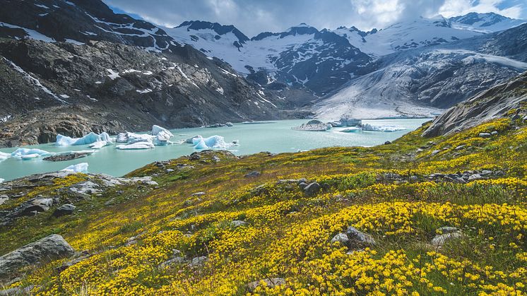 Gauligletscher