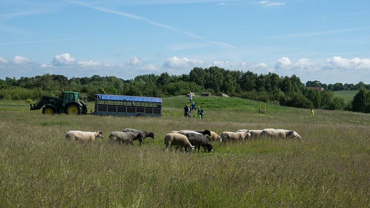 Foto Lars Bendroth