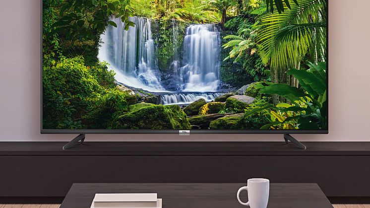 TCL P61 lifestyle image