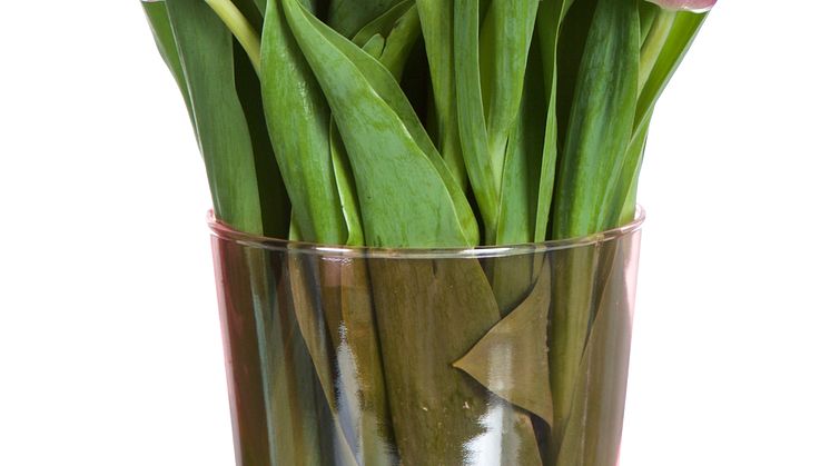 Glasvas