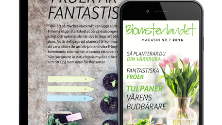 Nytt nummer! Blomsterlandets digitala magasin för mobil och läsplatta.