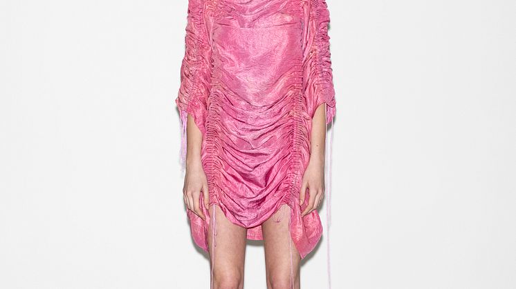 Alida Bard - The Last Glamour of Adolescence