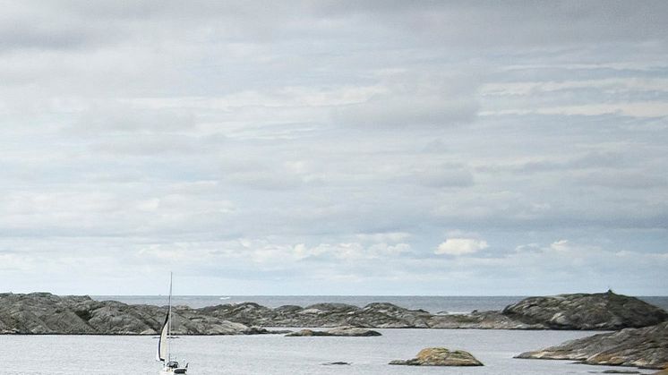 HaV inför krav på utbildning och tillstånd för trålfiske i Kosterhavet