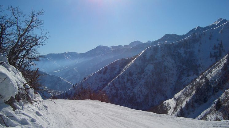 Skiers urged to head east where the pistes cost least 