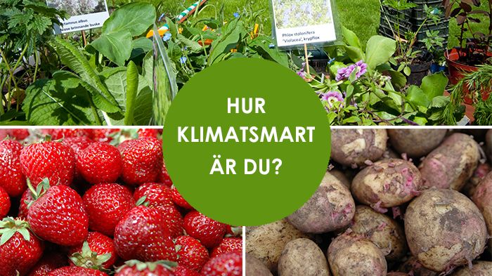 ​Odla din egen mat!