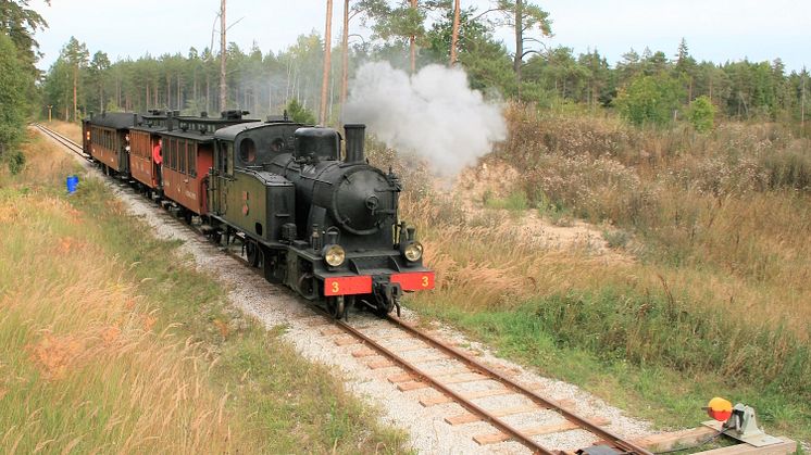 6 Gotlandståget.JPG