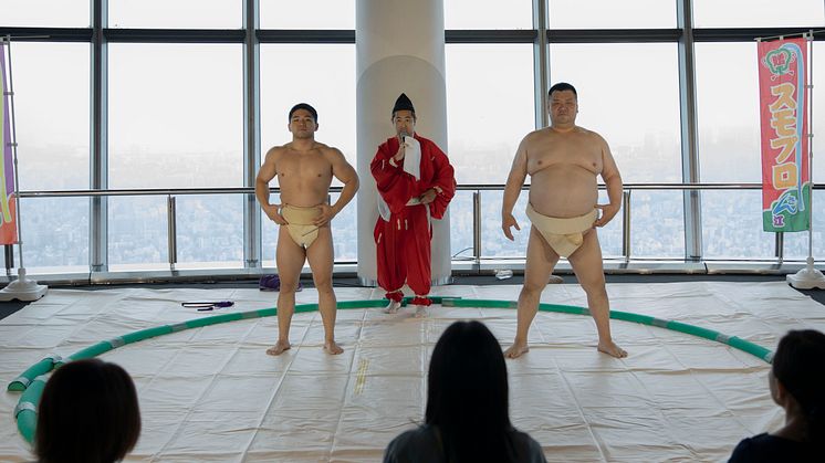 相撲プラン①.jpg
