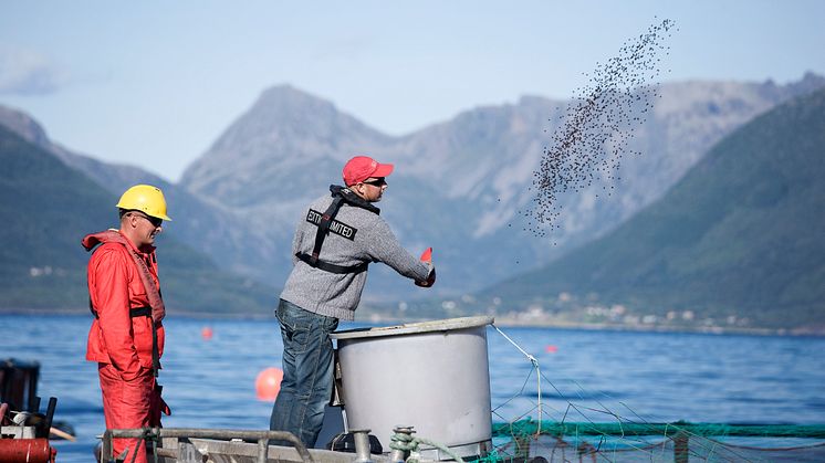​Cermaq's sustainability seminar 3 June - updated program