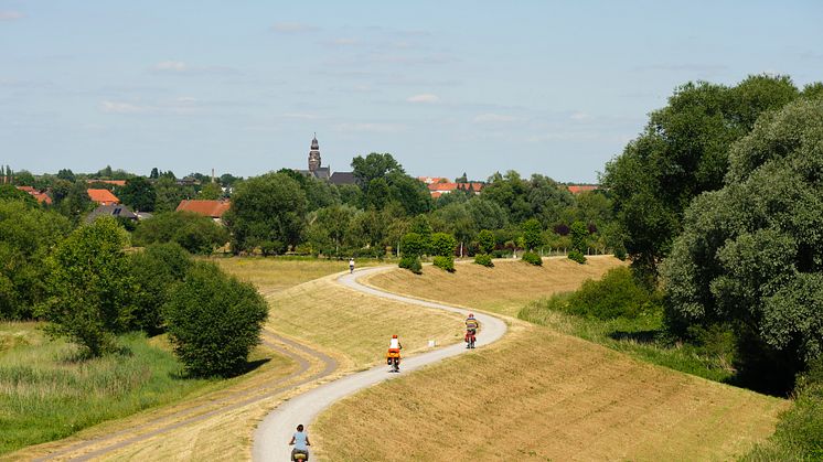 Die Prignitz und der Elberadweg sind ein Paradies für Radfahrer. Foto: TMB-Fotoarchiv/Böttcher+Tiensch.