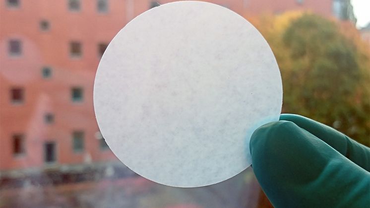 Paper filter made from Pithophora algae