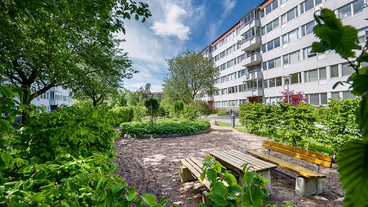 Willhem expanderar och utvecklar organisationen
