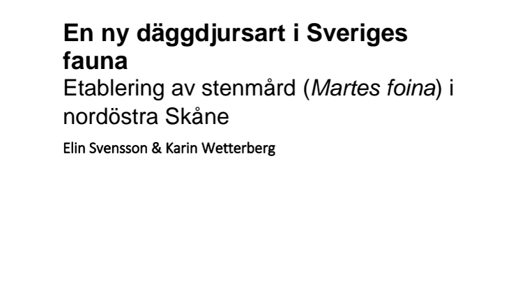 Ny däggdjursart i Sveriges fauna