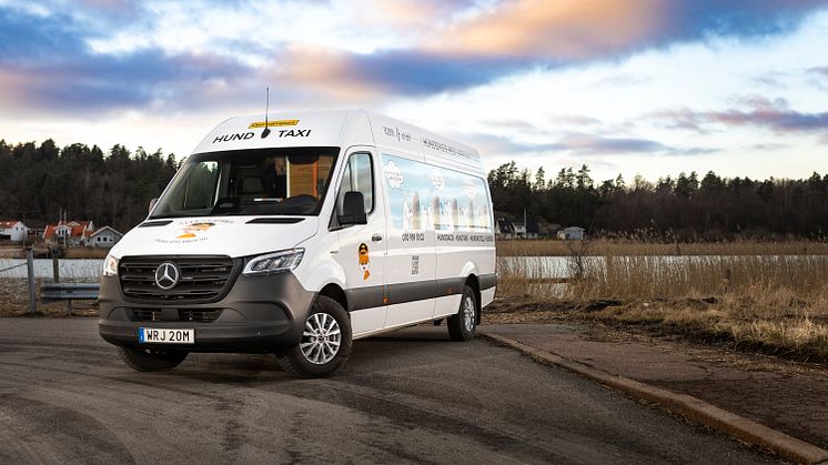 eSprinter Hundtaxi