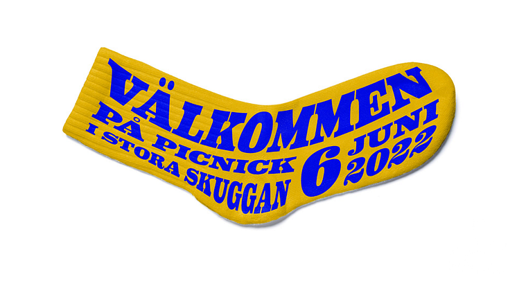 Nationaldags picknick med Avdelning Stockholm